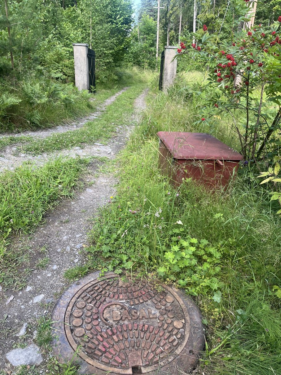 Bilde av kum 6.jpg